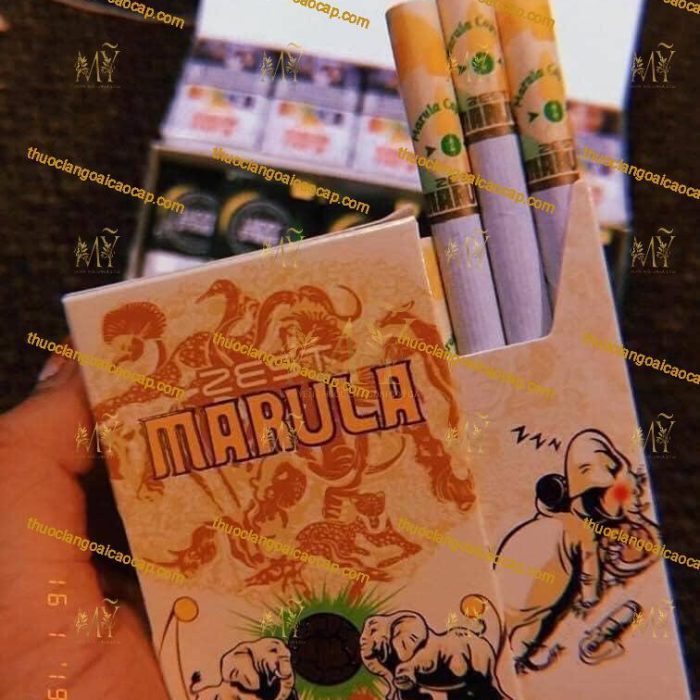 Thuốc lá Marula