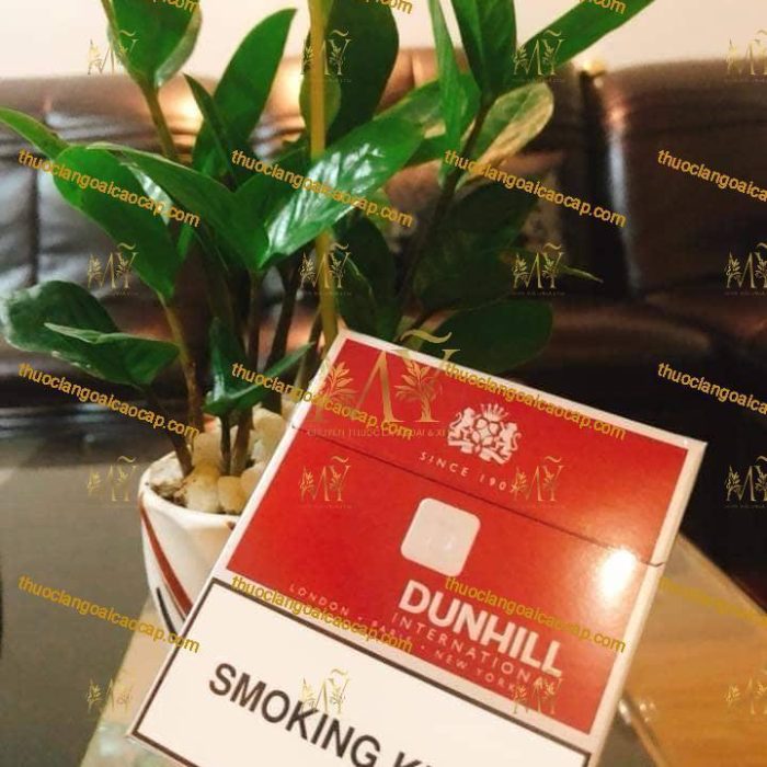 thuốc lá Dunhill International Red