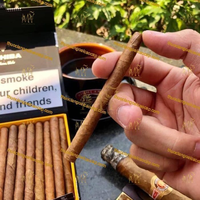 Xì gà Cohiba Club