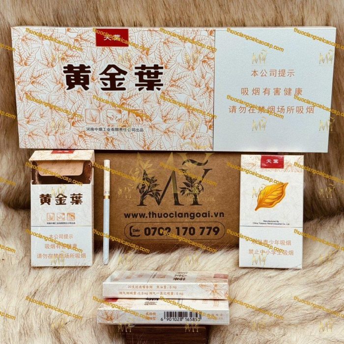 z5067686103278_e10688e3d3e21a2f1f6634795b501c56-min