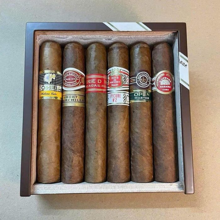 thuoclangoaicaocap-com-51