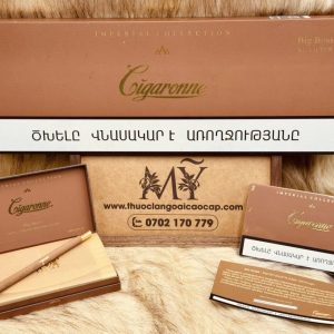Thuốc lá Cigaronne BIG BOSS (Phiên bản Nga - Russia) 84 thuoclangoaicaocap com 16 - Thuoclangoaicaocap.com | Chuyên Thuốc Lá Ngoại Cao Cấp & Xì Gà